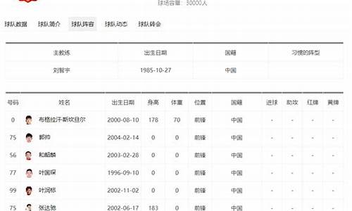 中甲2017_2007中甲裁判名单